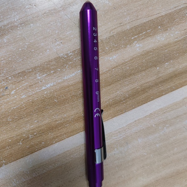 Pupil Check Pen Light
