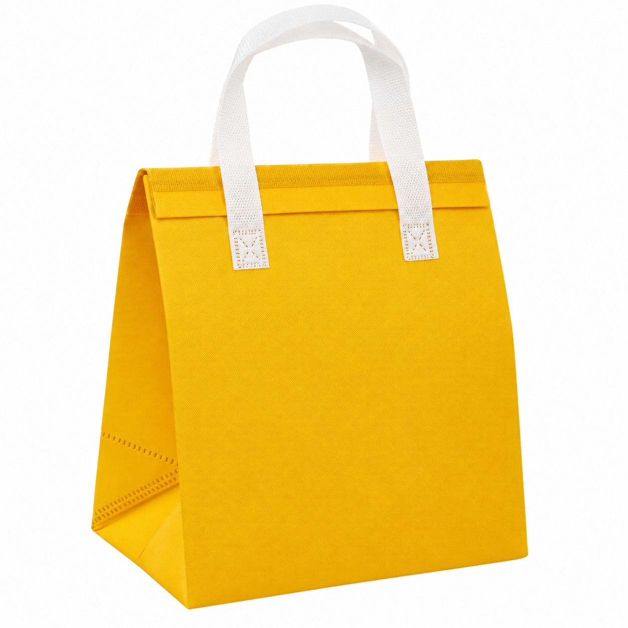 Portable Insulated Lunch Tote Bag