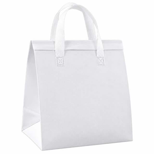 Portable Insulated Lunch Tote Bag