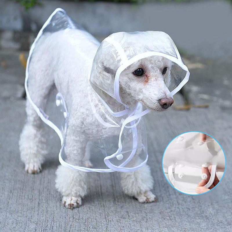 Transparent Pet Dog Raincoat