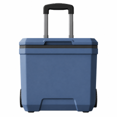18L Portable Insulated Outdoor Cooler With Handle