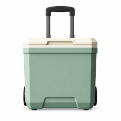 18L Portable Insulated Outdoor Cooler With Handle