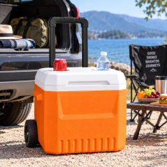 18L Wheeled Insulated Travel Cooler