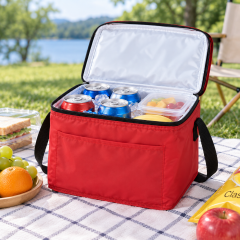 6-Can Insulated Polyester Cooler Lunch Bag