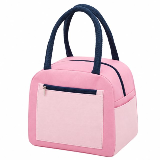 Color Block Insulated Lunch Bag