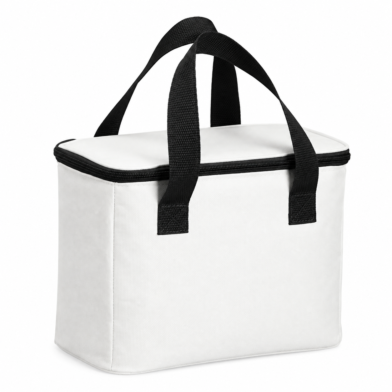 Insulated Outdoor Large Capacity Picnic Bag
