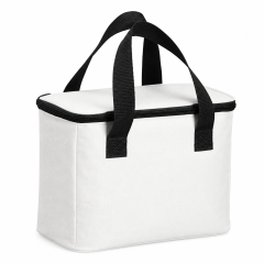 Insulated Outdoor Large Capacity Picnic Bag