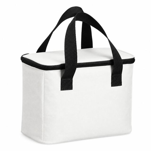 Insulated Outdoor Large Capacity Picnic Bag