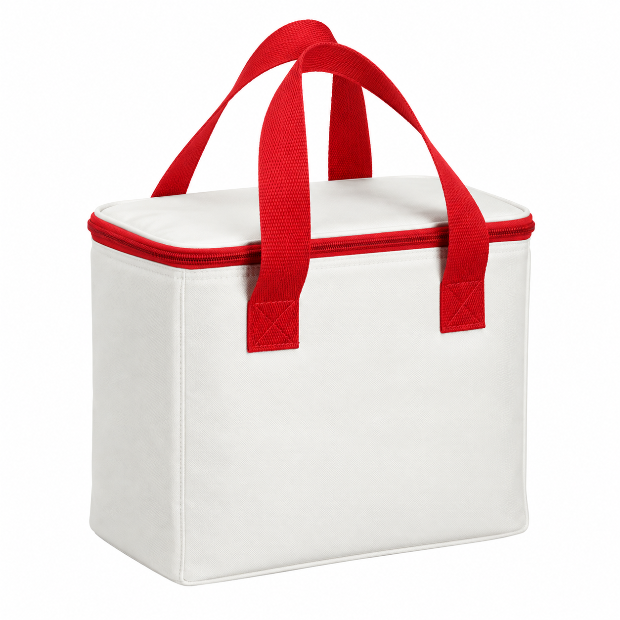 Insulated Outdoor Large Capacity Picnic Bag
