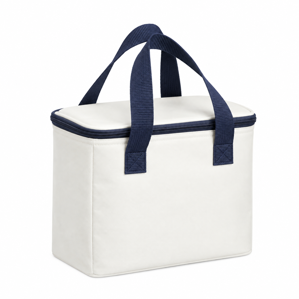 Insulated Outdoor Large Capacity Picnic Bag
