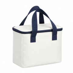 Insulated Outdoor Large Capacity Picnic Bag