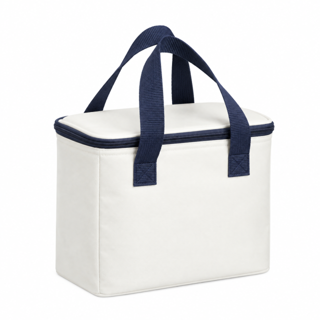 Insulated Outdoor Large Capacity Picnic Bag
