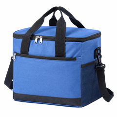 Insulated Oxford Picnic Cooler Bag
