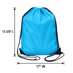 Lightweight Polyester Drawstring Backpack