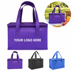 Reusable Non-Woven Insulated Picnic Cooler Bag