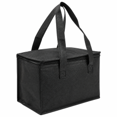 Reusable Non-Woven Insulated Picnic Cooler Bag