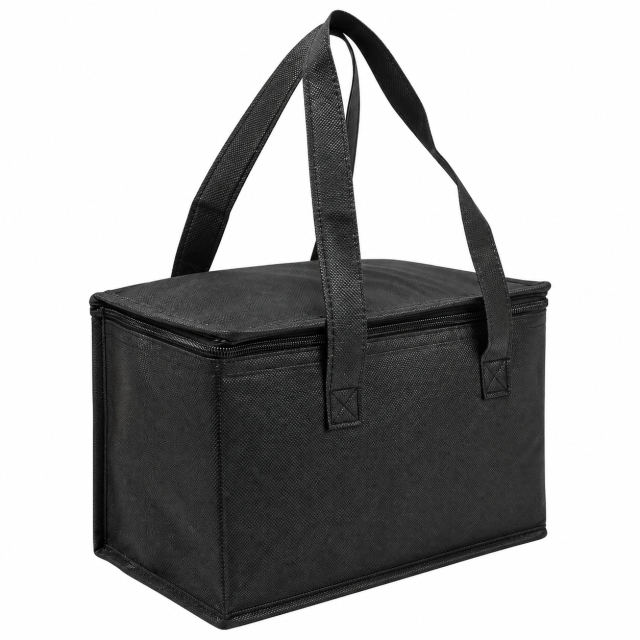 Reusable Non-Woven Insulated Picnic Cooler Bag