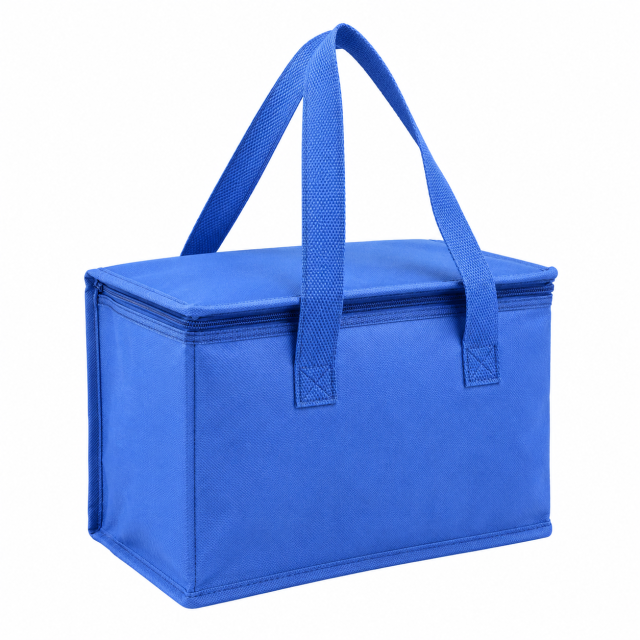 Reusable Non-Woven Insulated Picnic Cooler Bag