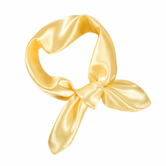 Solid Color Satin Square Scarf