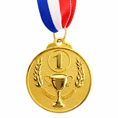 Zinc Alloy Sports Award Medal With Ribbon