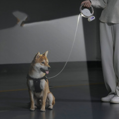 3 Meter Automatic Pet Traction Rope