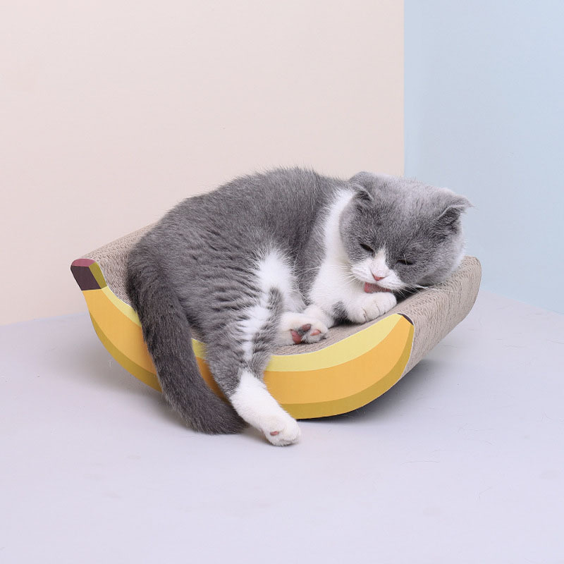Creativity Cat Scratching Pad