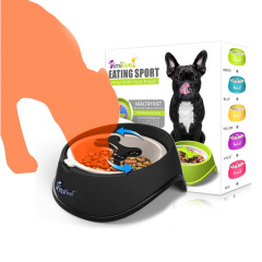 Dog Feeder Slow Eating Pet Bowl