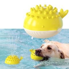 Electric Water Jet Pet Molar Ball