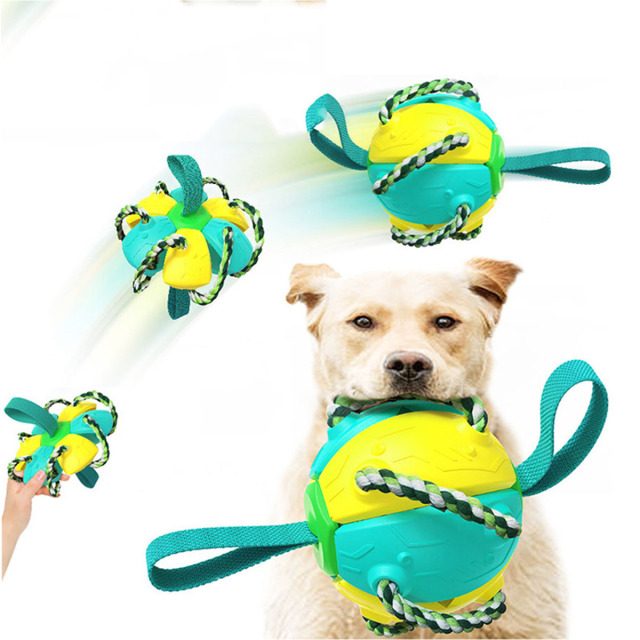 Interactive Dog Toy  Football