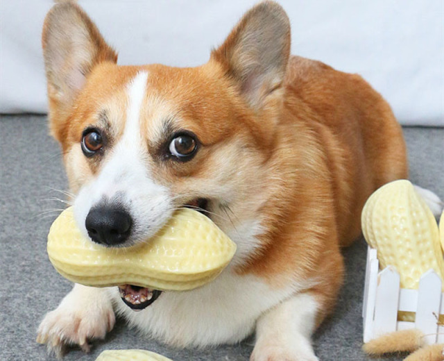 Pet Teething Toy / Rubber Peanut