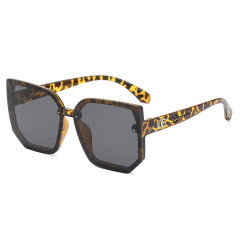 Polygon Lady sunglasses (UV protection)