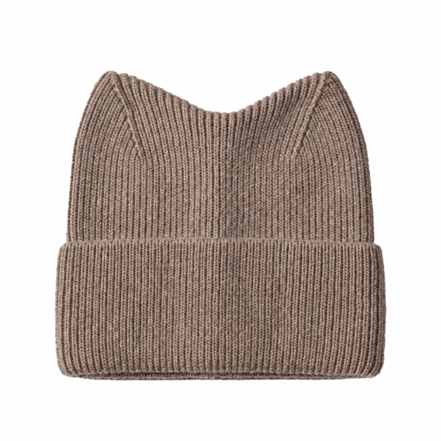 Cat Ear Knit Winter Beanie
