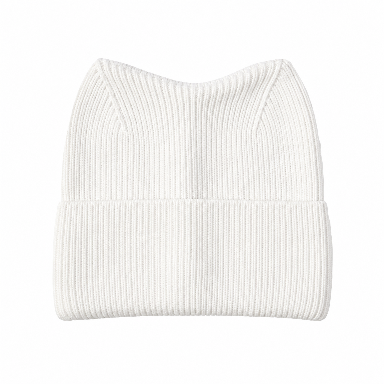 Cat Ear Knit Winter Beanie