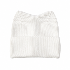 Cat Ear Knit Winter Beanie