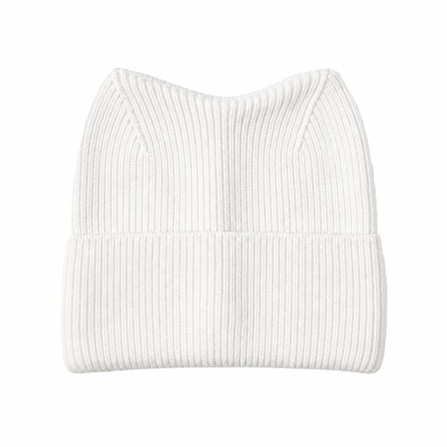 Cat Ear Knit Winter Beanie