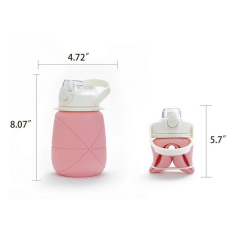 Foldable Silicone Water Bottle With Flip-Top Spout