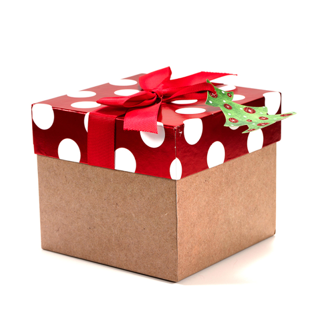 Holiday gift box_A0001