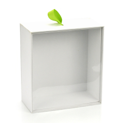 Holiday gift box-G0024