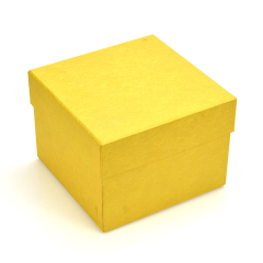 Holiday gift box-G0054