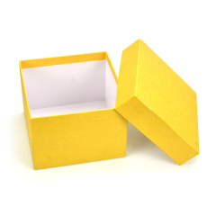 Holiday gift box-G0054