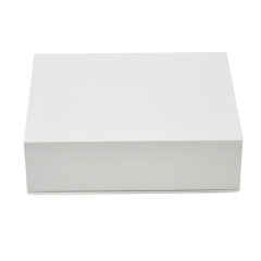 Holiday gift box-G0019