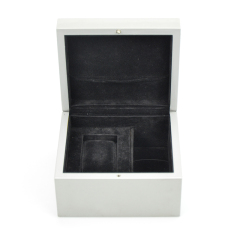 Watch Box_T0001