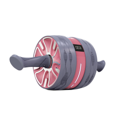 Abdominal Wheel Exercise Equipment