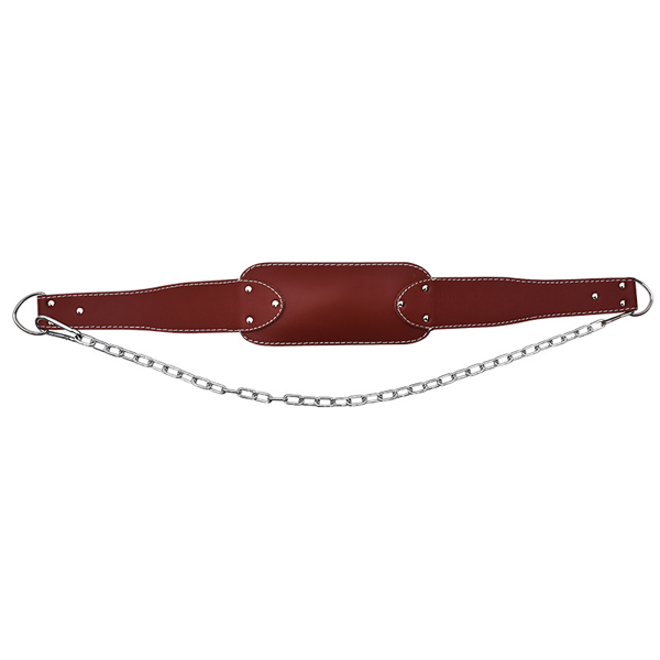 Weight belt fitness strength training pull-ups