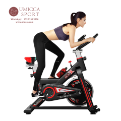 China Indoor Drive Fitness Spin Bike Pedal Home GYM