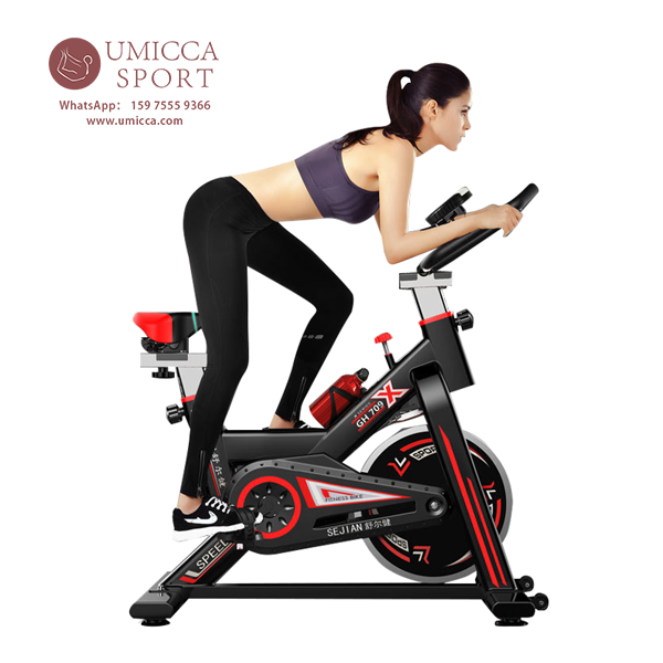 China Indoor Drive Fitness Spin Bike Pedal Home GYM