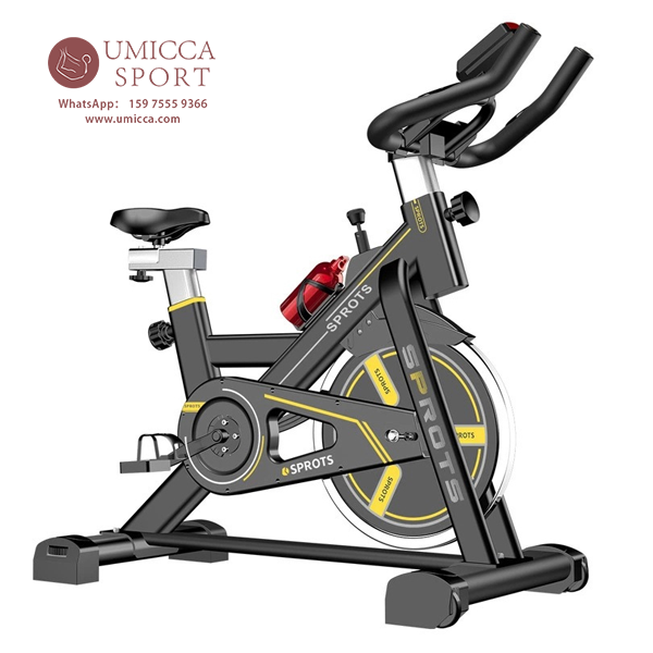 China Indoor Drive Fitness Spin Bike Pedal Home GYM