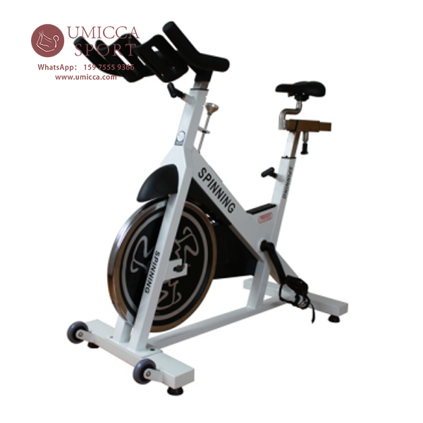 Spinning Bike Training Bike for Gym Use