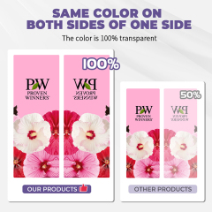 Backpack Banner - Block,PDYEAR GROUP,Backpack Banner - Block