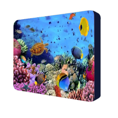 3D-Rectangle-Display,PDYEAR GROUP,3D-Rectangle-Display
